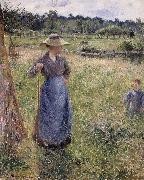 The Tedder, Camille Pissarro